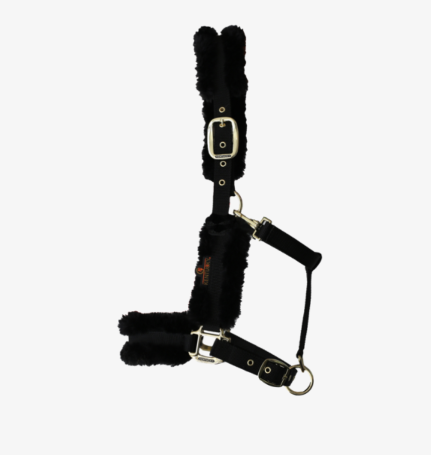 Jaquima Nylon Chiporro Kentucky Horsewear