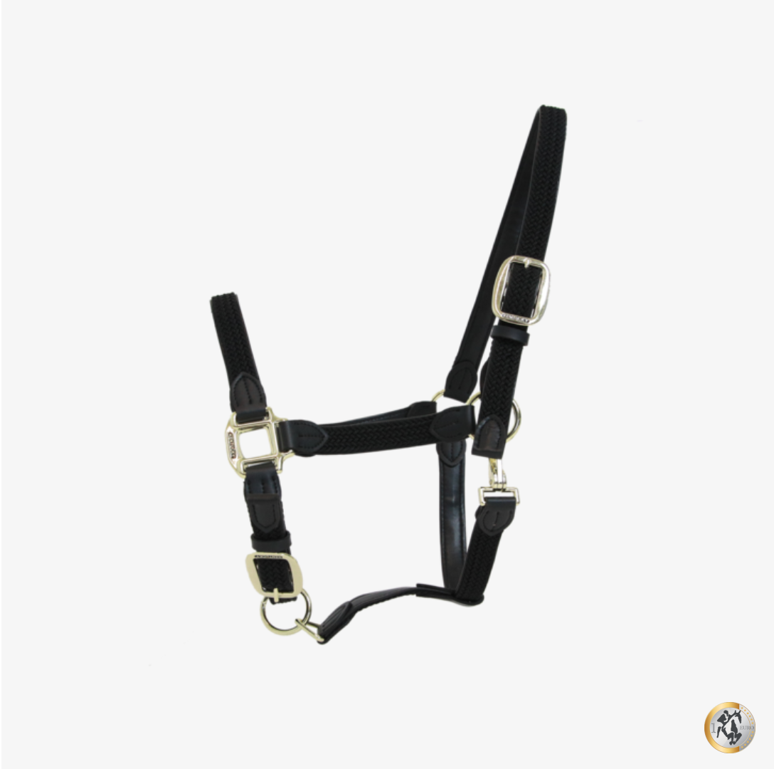 Jaquima Plaited Nylon Kentucky Horsewear