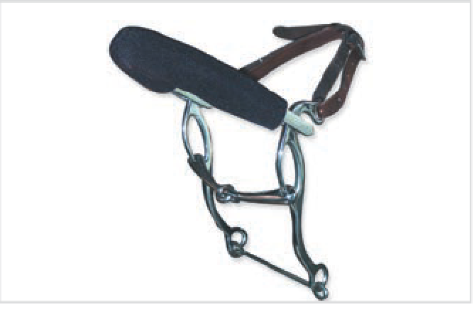 Bocado SS Winchester Miracle Gag
