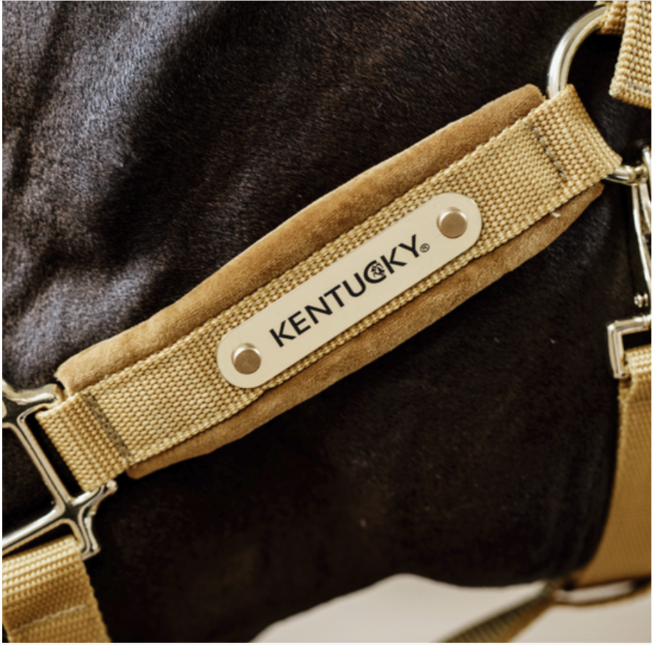 Jaquima Velvet Halter Kentucky