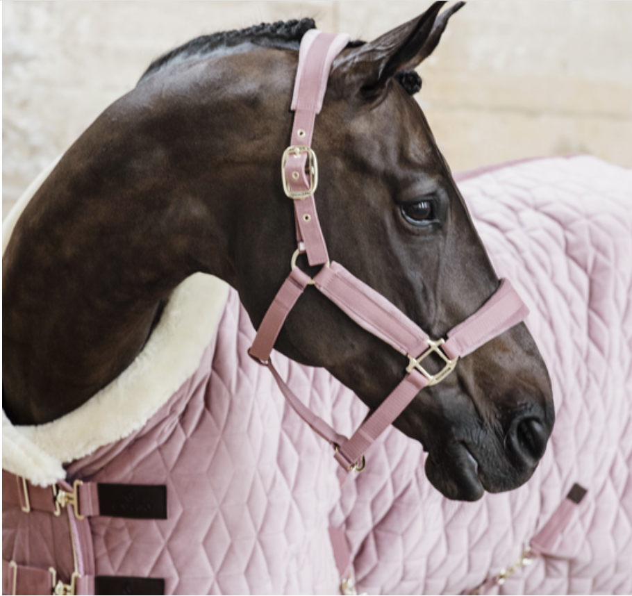 Jaquima Velvet Halter Kentucky