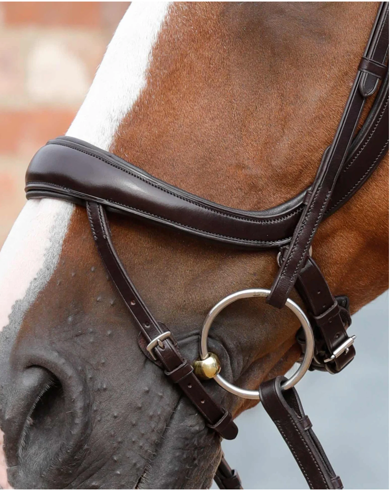 Cabezada Anatomica Savuto con Cierraboca y Muserola