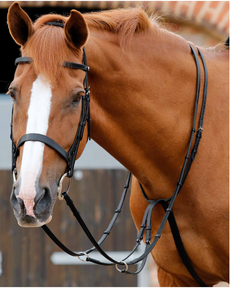 Martingala ajustable SANTADI