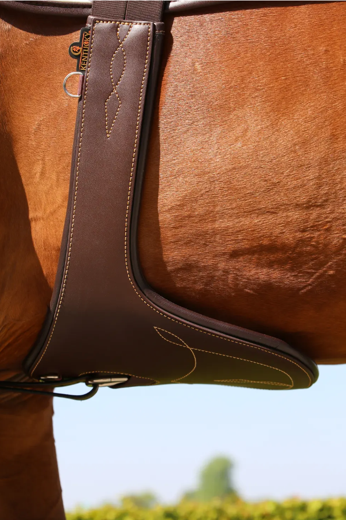 Guatero Studgirth Kentucky