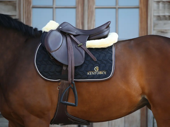 Guatero Studgirth Kentucky