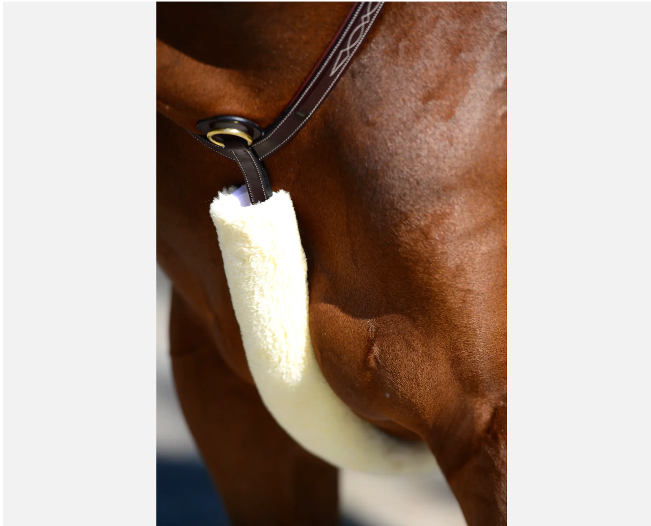 Chiporro para Pretal Sheepskin Breastplate Cover