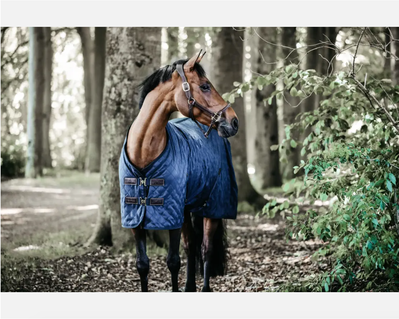 Capa Stable Rug