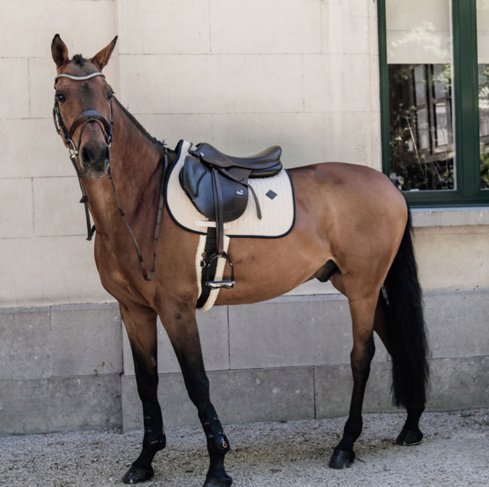 Mandil SOFTSHELL JUMPING
