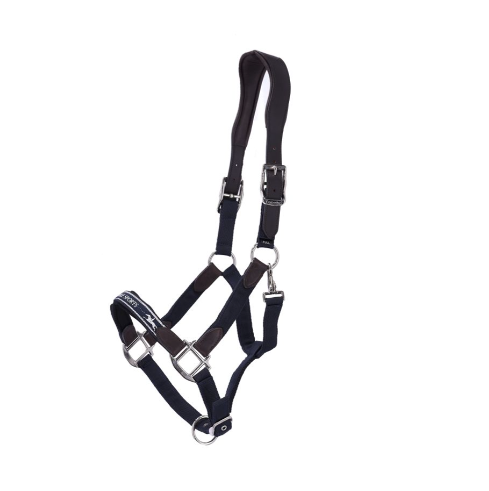 Jaquima Acron Schockemohle