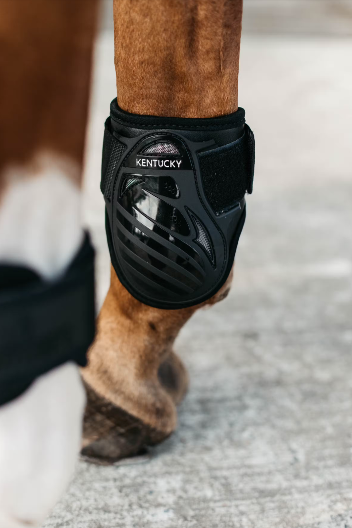 Proteccion Bamboo Young Horse Fetlock Boots Kentucky
