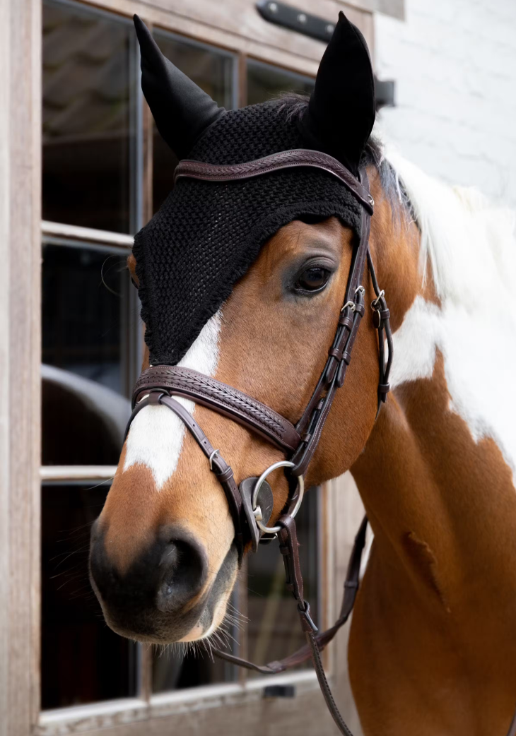 Orejera Fly Veil Long Kentucky