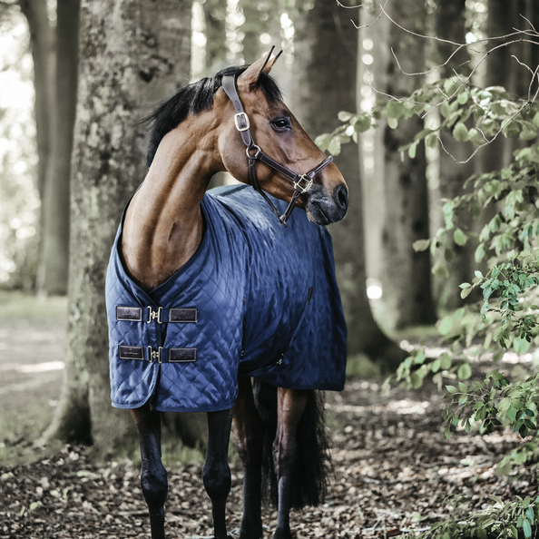 Caballo