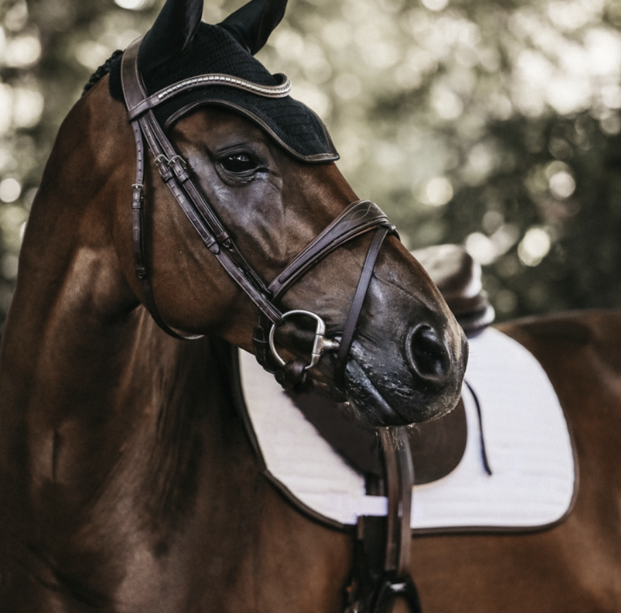 Orejera Fly Veil Wellington Cuero