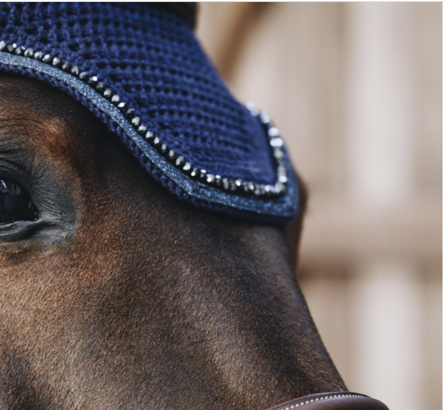 Orejera Fly Veil Wellington Glitter Kentucky