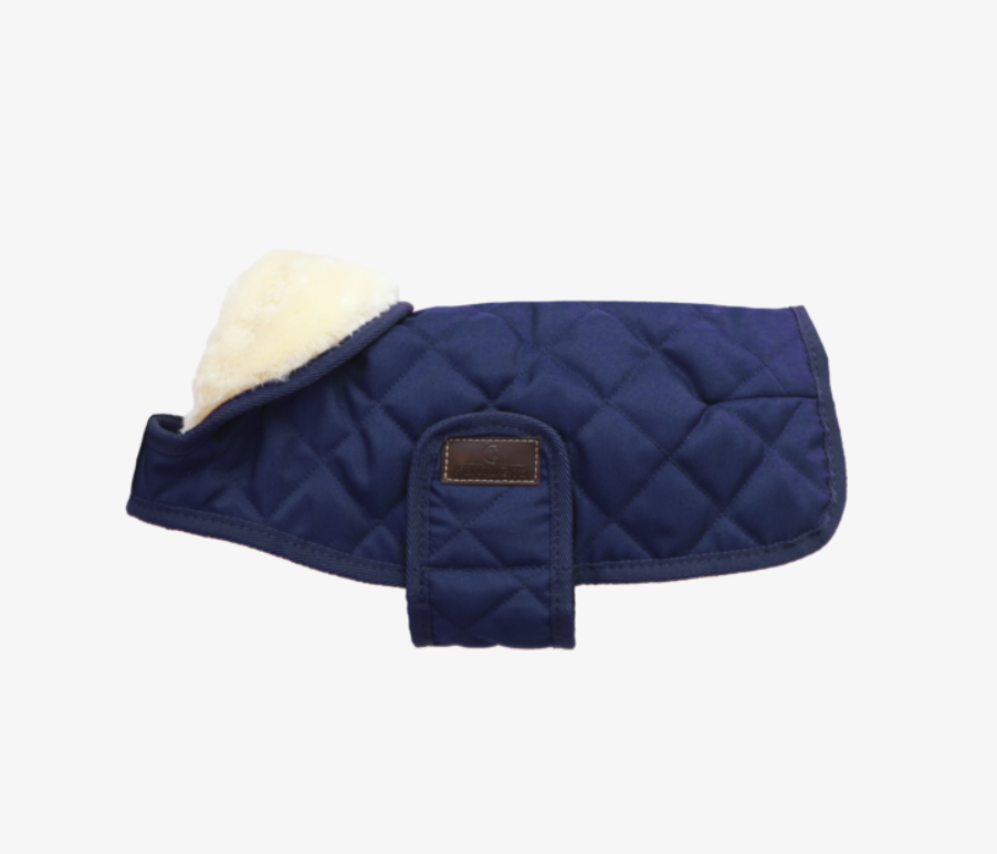 Capa Perro Kentucky Dogwear
