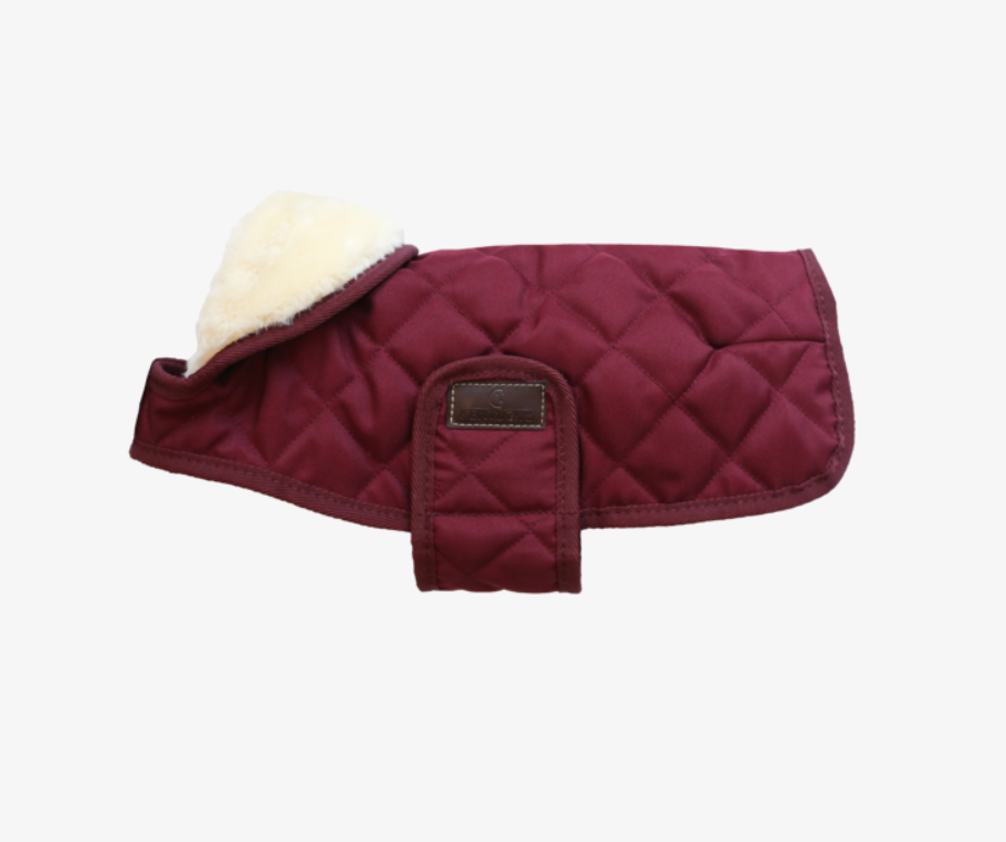 Capa Perro Kentucky Dogwear