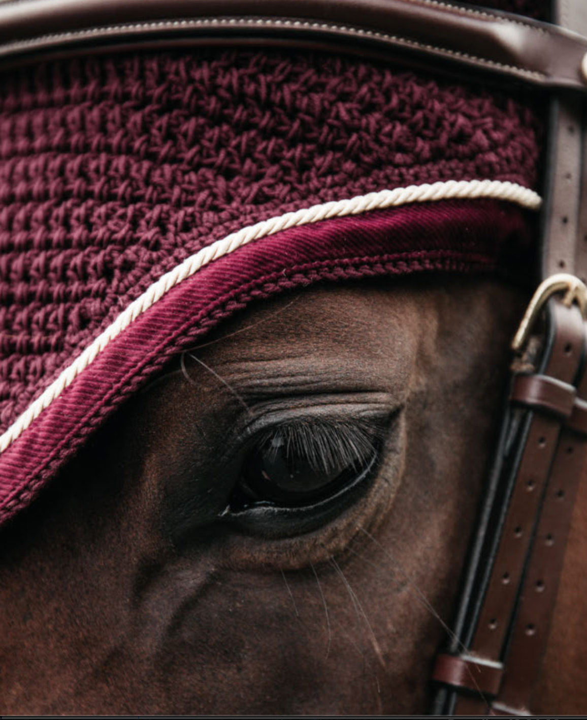 Orejera Fly Veil Velvet Kentucky Horsewear