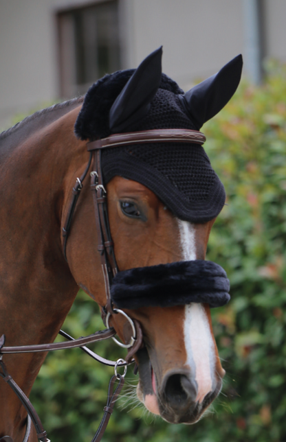Chiporro Noseband Cover Kentucky