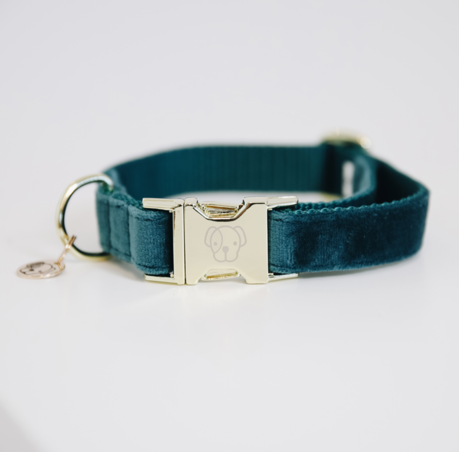 Collar Perro Velvet Kentucky Dogwear