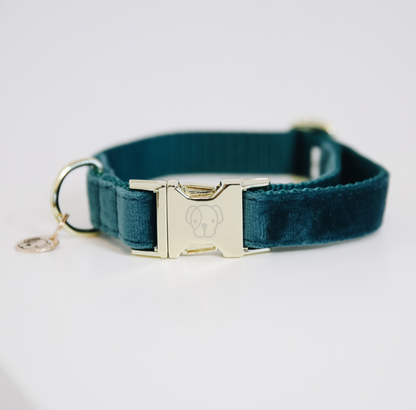 Collar Perro Velvet Kentucky Dogwear