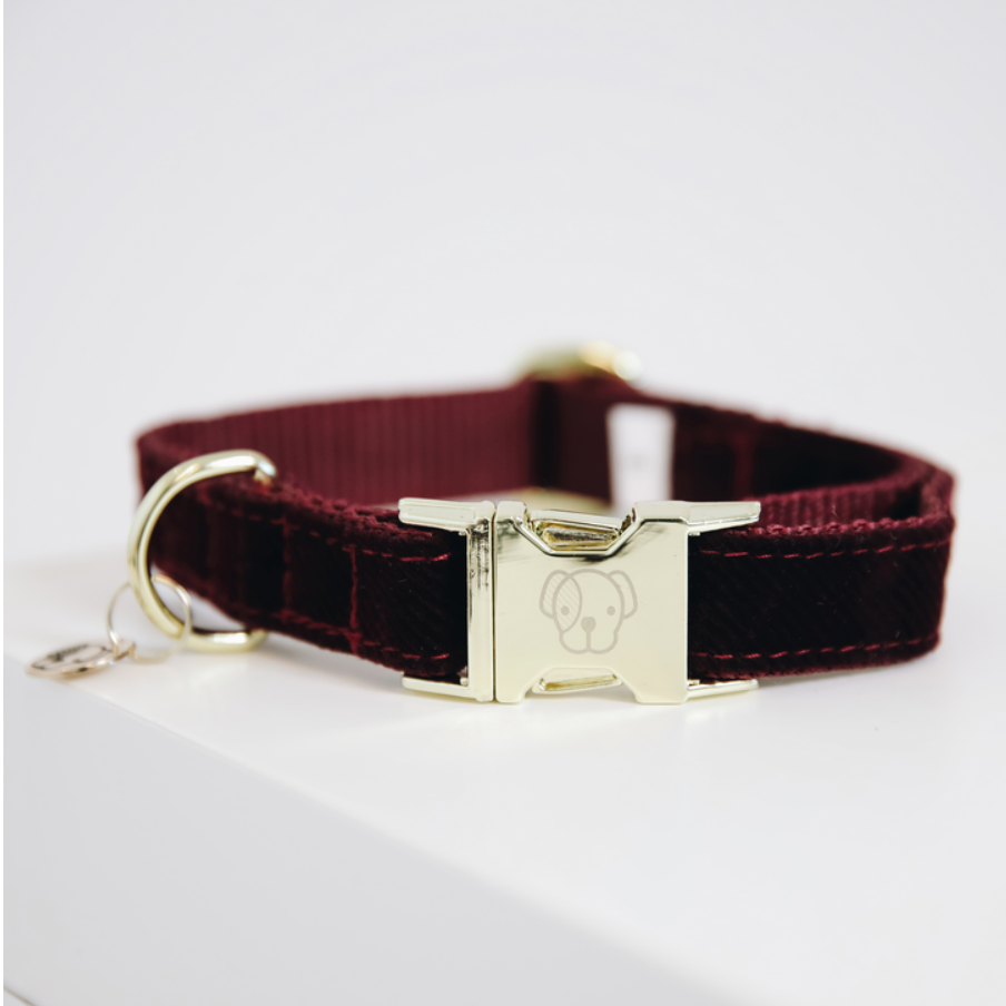 Collar Perro Velvet Kentucky Dogwear