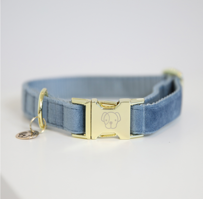 Collar Perro Velvet Kentucky Dogwear