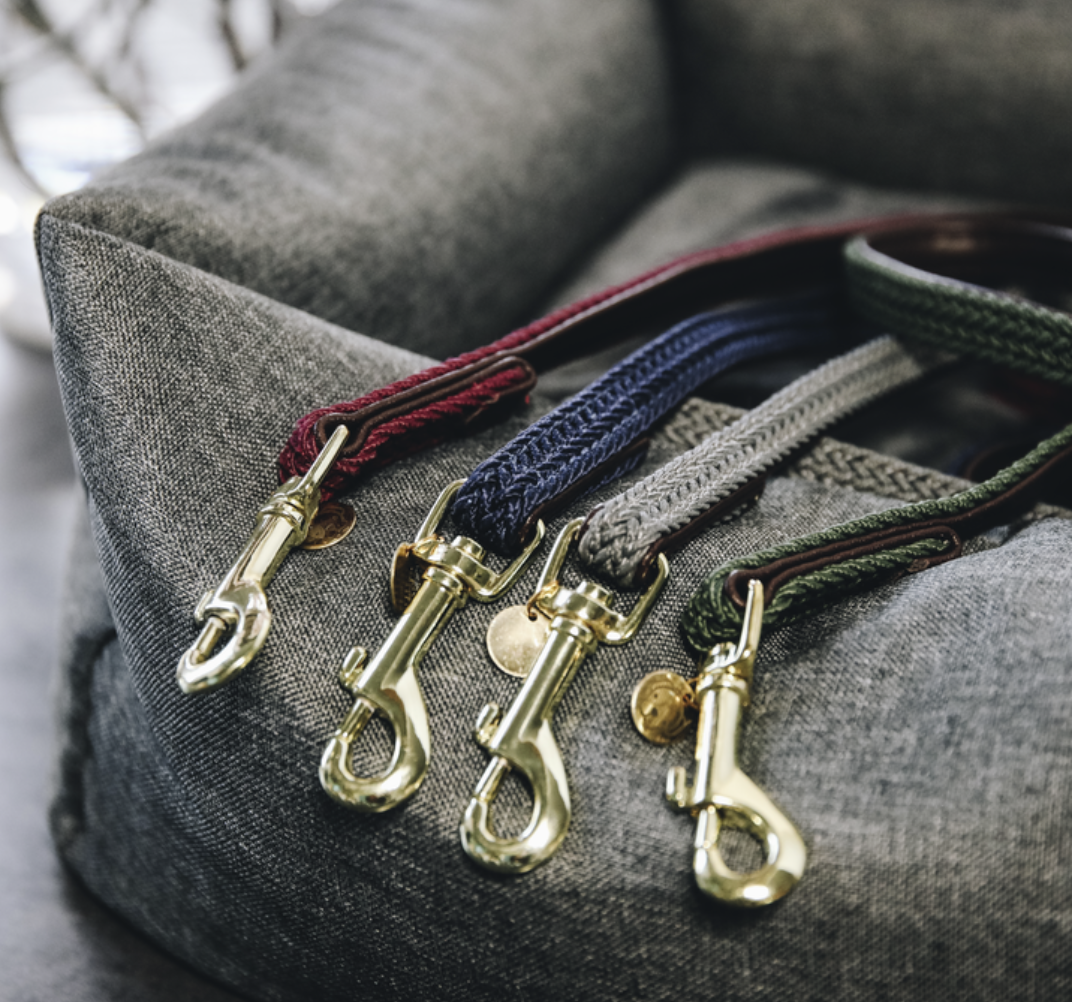 Correa Perro Plaited Nylon Kentucky 120