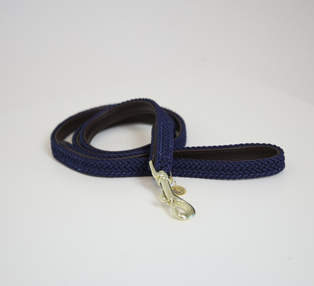 Correa Perro Plaited Nylon Kentucky 120