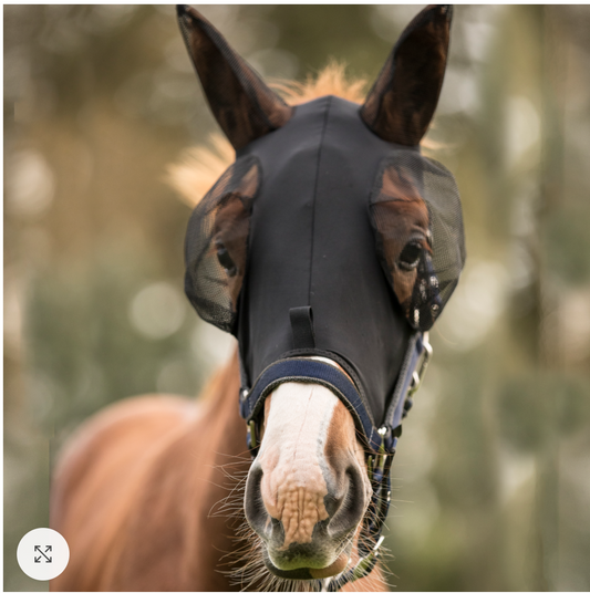 Mascara de Moscas FLY MASK EQUI-SKY LYCRA