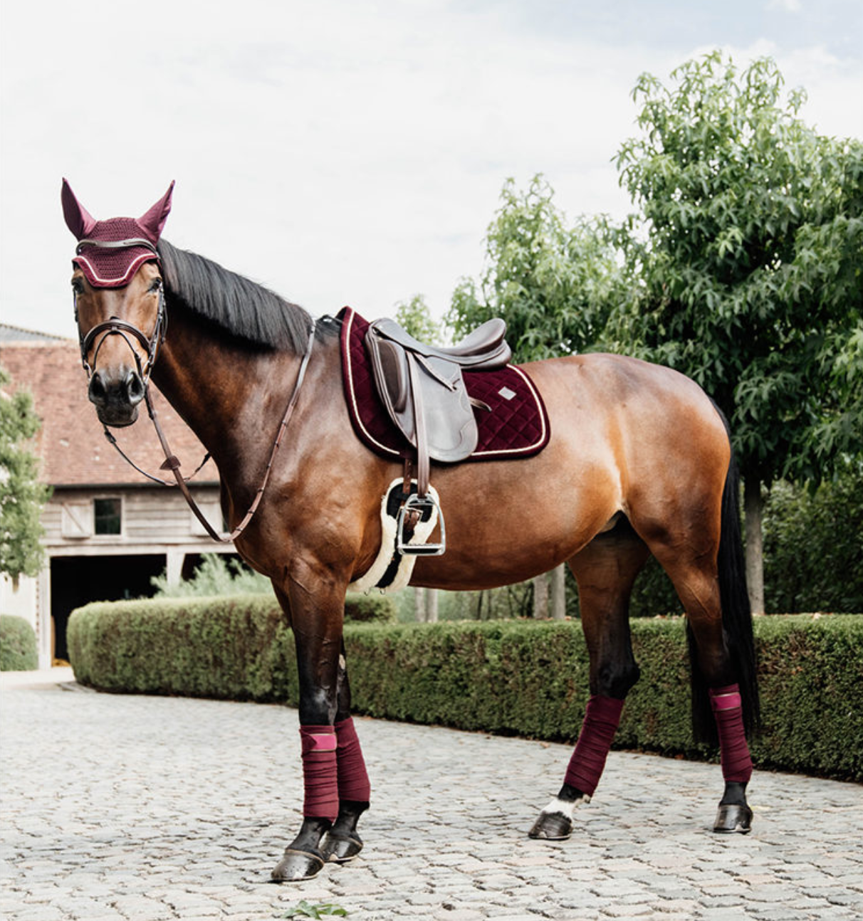 Vendas de Polar Kentucky Horsewear