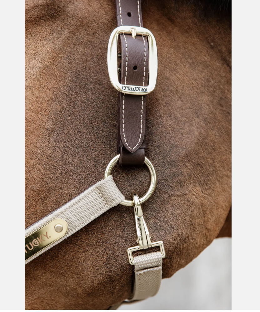 Jaquima Anatomic Nylon Kentucky Horsewear