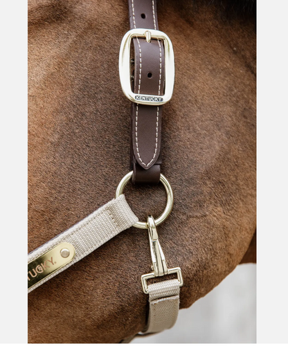 Jaquima Anatomic Nylon Kentucky Horsewear