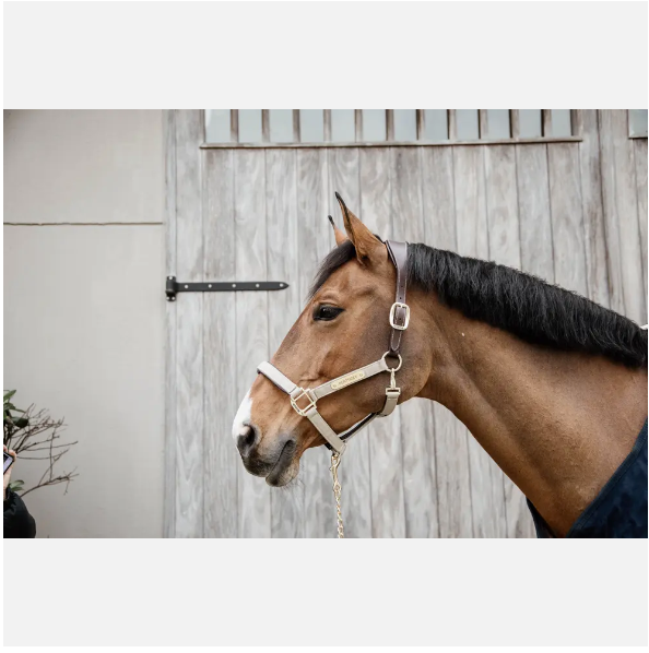 Jaquima Anatomic Nylon Kentucky Horsewear