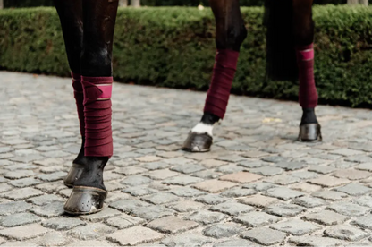 Vendas de Polar Kentucky Horsewear