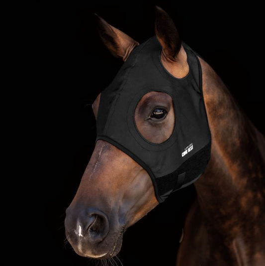 Mascara de Titanio