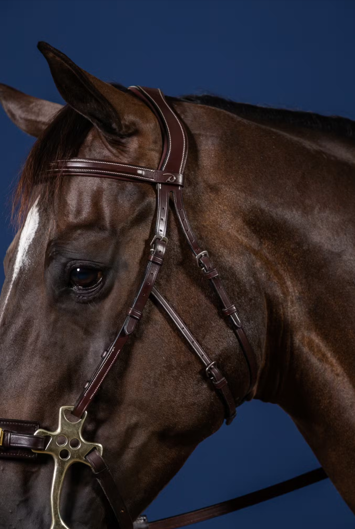 Cabezada para Hackamore