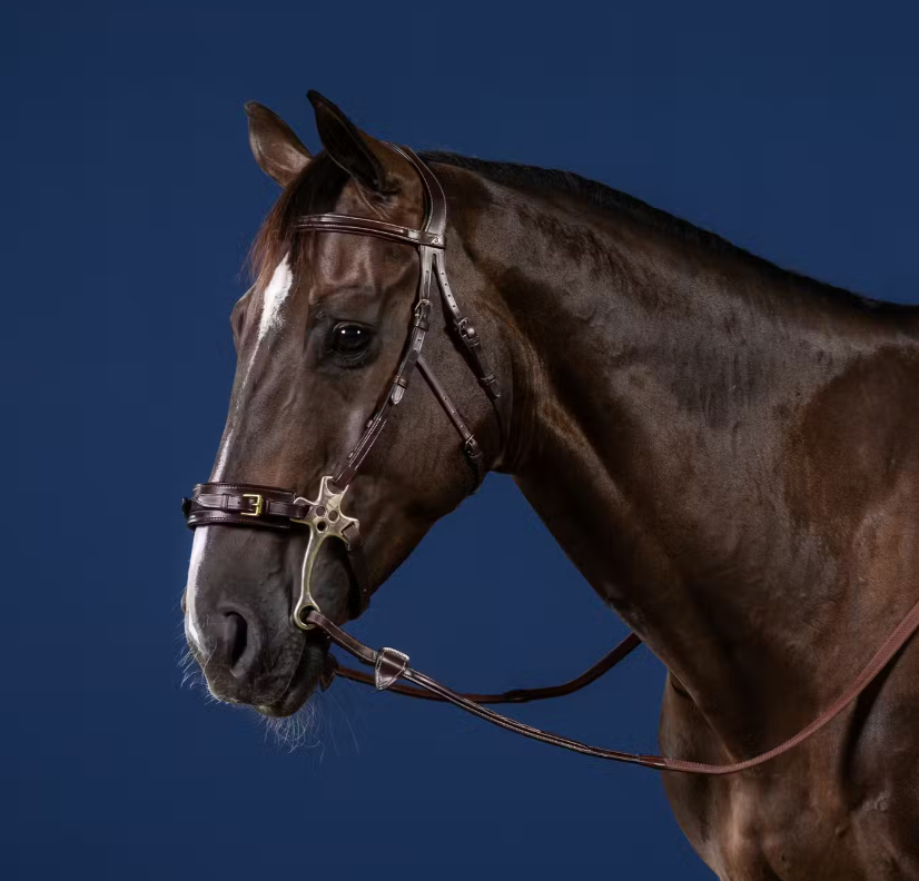 Cabezada para Hackamore